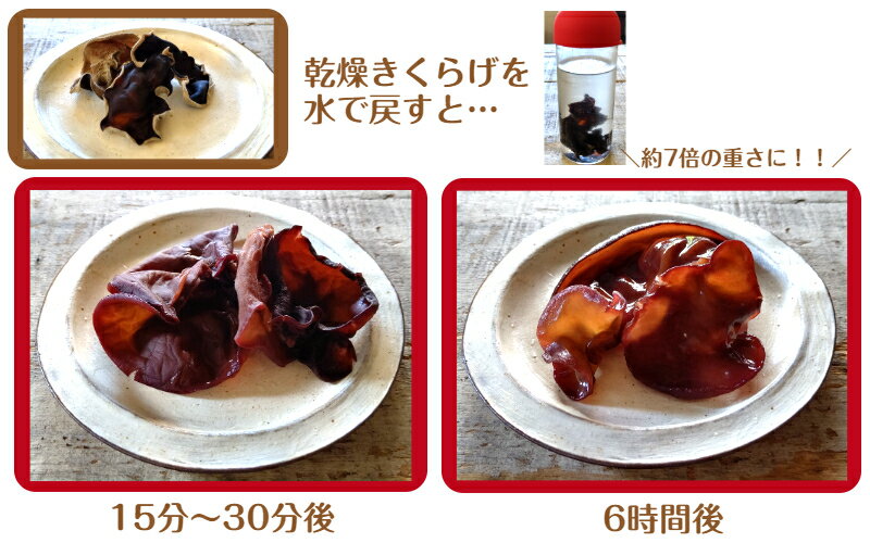 【ふるさと納税】大分県産 業務用乾燥きくらげ LLサイズ　450g×1袋 きくらげ 国産 乾燥きくらげ 干しきくらげ 木耳 キクラゲ 茸 きのこ キノコ 大分県産 菌活 薬膳 料理 スープ 卵 中華 - 画像2