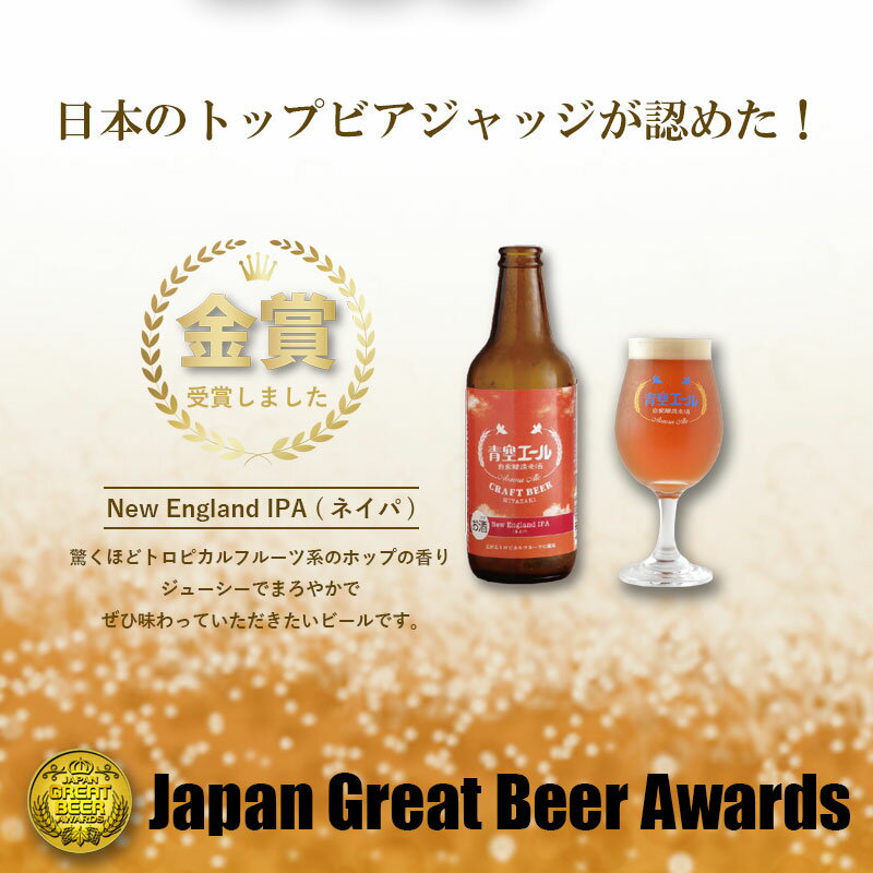 【ふるさと納税】青空エールこだわりのクラフトビール飲み比べ詰め合わせセット〈フルーツビール入り〉6種6本（500mlペットボトル×6本） 青空エール クラフトビール 飲み比べ 詰め合わせ セット フルーツビール お酒 冷蔵 お取り寄せ 宮崎県 宮崎市 送料無料 サムネイル2