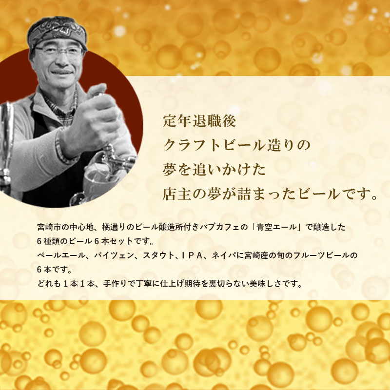 【ふるさと納税】青空エールこだわりのクラフトビール飲み比べ詰め合わせセット〈フルーツビール入り〉6種6本（500mlペットボトル×6本） 青空エール クラフトビール 飲み比べ 詰め合わせ セット フルーツビール お酒 冷蔵 お取り寄せ 宮崎県 宮崎市 送料無料 サムネイル3