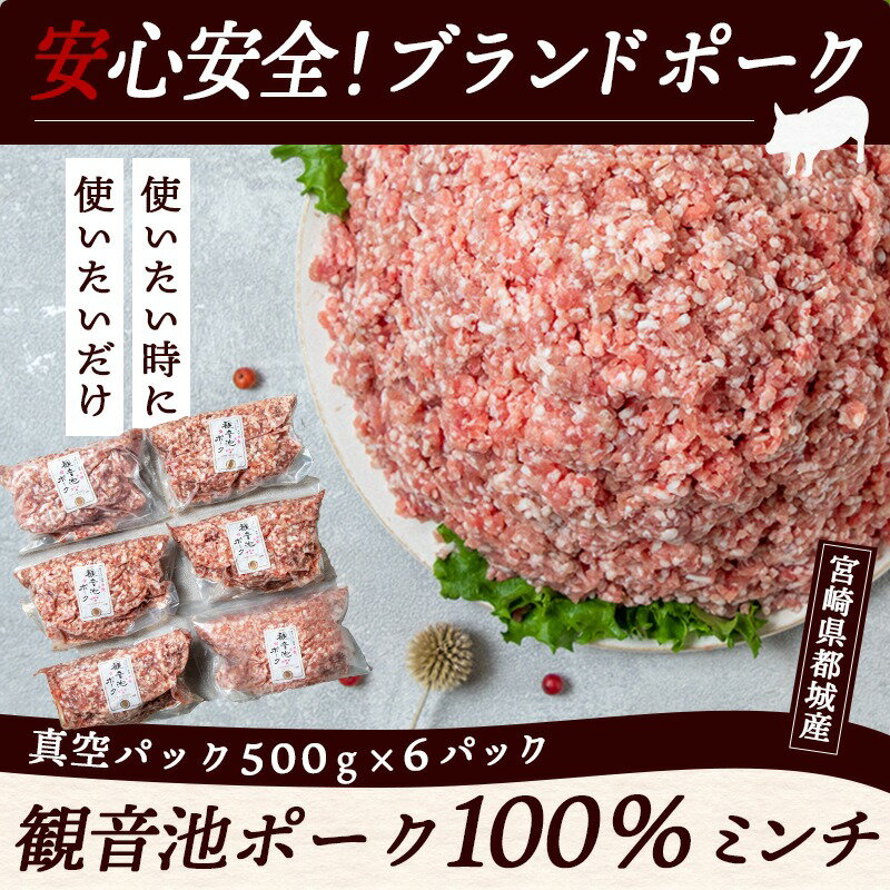 【ふるさと納税】観音池ポーク100％ミンチ3kg(真空パック) - 銘柄豚肉 観音池ポーク 豚肉 肉 豚ミンチ肉(500g×6パック) 合計3キロ 真空パック 冷凍肉 国産豚肉/宮崎県都城市産 送料無料 13-1504【宮崎県都城市は2年連続ふるさと納税日本一！】 サムネイル3