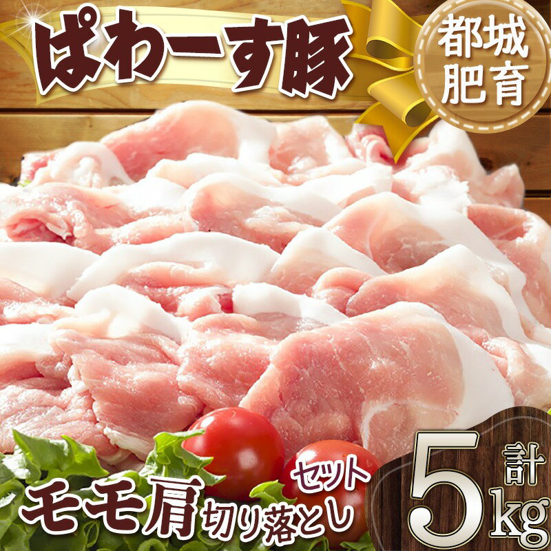 【ふるさと納税】「ぱわーす豚」モモ肩切り落とし5kg - 都城産豚肉 豚モモ肩切落とし肉(250g×20パック) 計5キロ ブランドポーク 国産/宮崎県産 真空パック 送料無料 18-6404【宮崎県都城市は2年連続ふるさと納税日本一！】 サムネイル2
