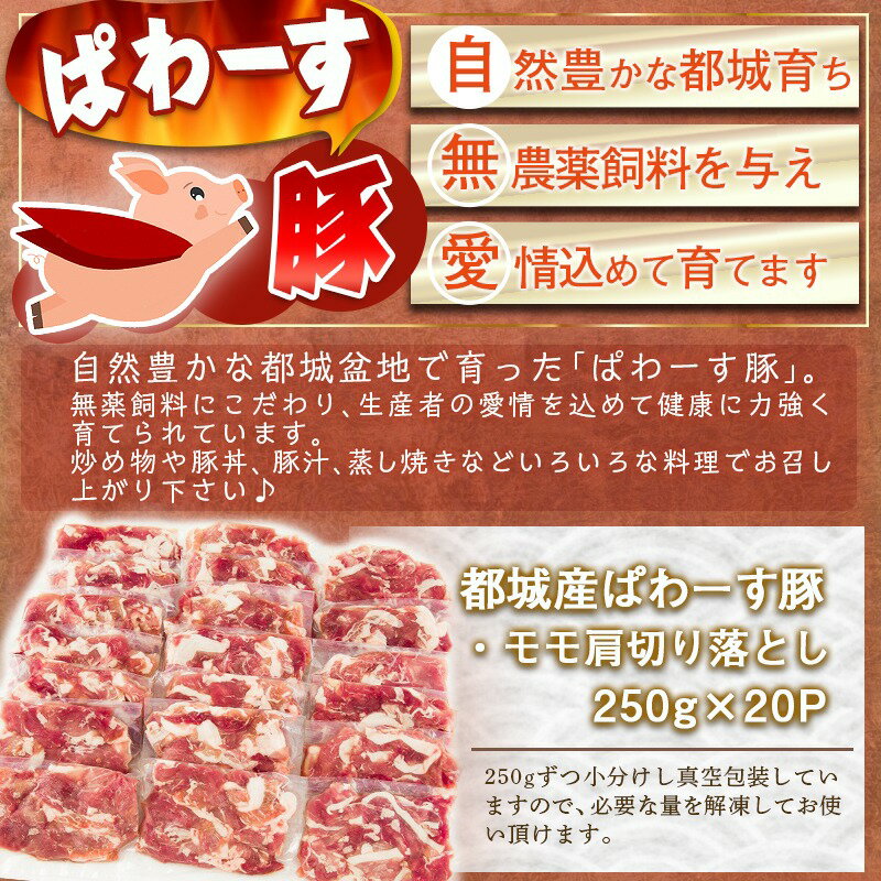 【ふるさと納税】「ぱわーす豚」モモ肩切り落とし5kg - 都城産豚肉 豚モモ肩切落とし肉(250g×20パック) 計5キロ ブランドポーク 国産/宮崎県産 真空パック 送料無料 18-6404【宮崎県都城市は2年連続ふるさと納税日本一！】 サムネイル3
