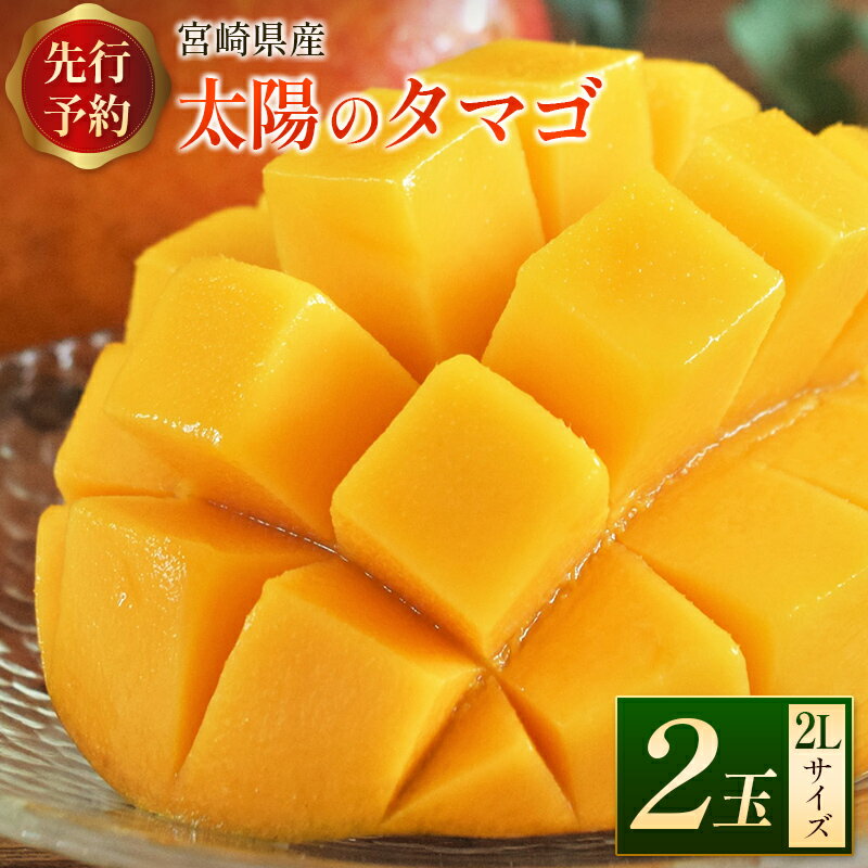 ＜数量限定＞完熟マンゴー「太陽のタマゴ」2Lサイズ 2玉 宮崎県産 先行予約 ブランド フルーツ 果物 ギフト