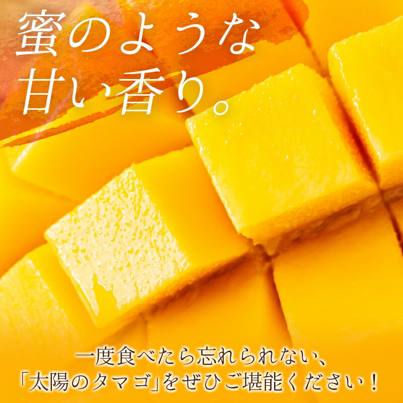 【ふるさと納税】＜数量限定＞完熟マンゴー「太陽のタマゴ」2Lサイズ 2玉 宮崎県産 先行予約 ブランド フルーツ 果物 ギフト サムネイル2