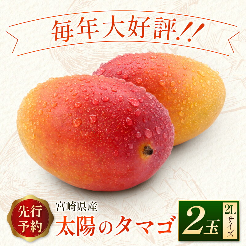 【ふるさと納税】＜数量限定＞完熟マンゴー「太陽のタマゴ」2Lサイズ 2玉 宮崎県産 先行予約 ブランド フルーツ 果物 ギフト サムネイル3