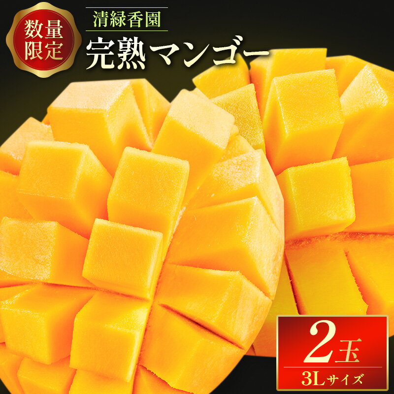 ＜数量限定＞清緑香園 完熟マンゴー 3L×2玉 宮崎県産 果物 フルーツ 先行予約 ※2026年5月下旬～