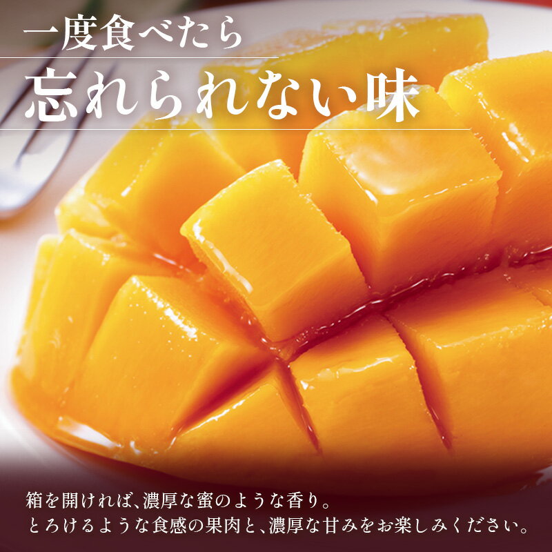 【ふるさと納税】＜数量限定＞清緑香園 完熟マンゴー 3L×2玉 宮崎県産 果物 フルーツ 先行予約 ※2026年5月下旬～ サムネイル2