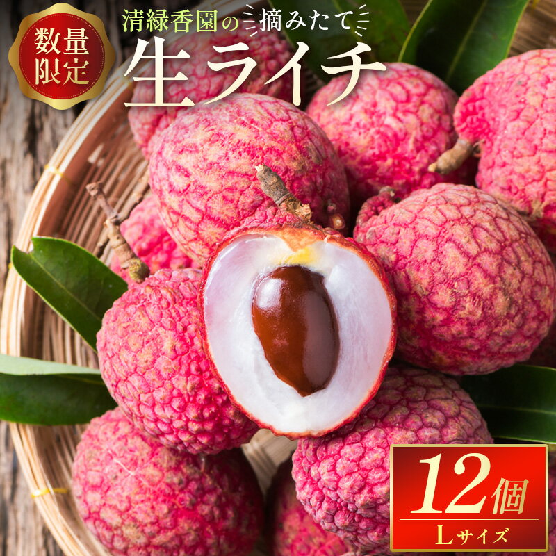 ＜数量限定＞清緑香園の摘みたて「生ライチ」Lサイズ 12個 国産 宮崎県産 先行予約 ※2026年6月中旬～
