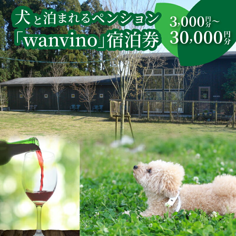 犬と泊まれるペンション「wanvino」宿泊券 - 宮崎 宿泊 トラベル ペット可 ペット同伴 九州 ペットと泊まれる宿 ペットOK わんちゃん ドッグラン付きペンション 一緒に泊まれる トリミングルーム 送料無料【宮崎県木城町】