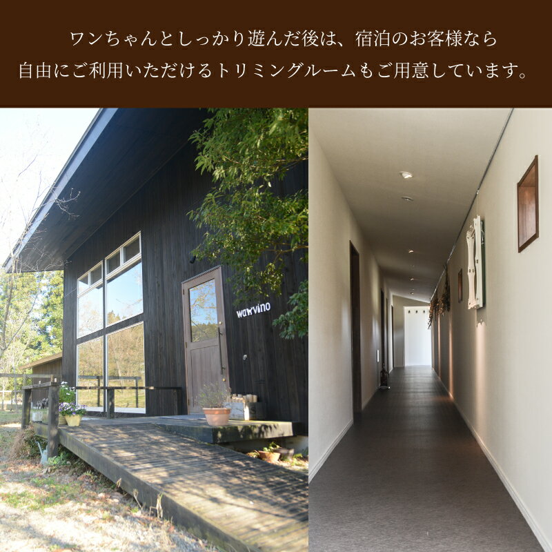 【ふるさと納税】犬と泊まれるペンション「wanvino」宿泊券 - 宮崎 宿泊 トラベル ペット可 ペット同伴 九州 ペットと泊まれる宿 ペットOK わんちゃん ドッグラン付きペンション 一緒に泊まれる トリミングルーム 送料無料【宮崎県木城町】 - 画像3