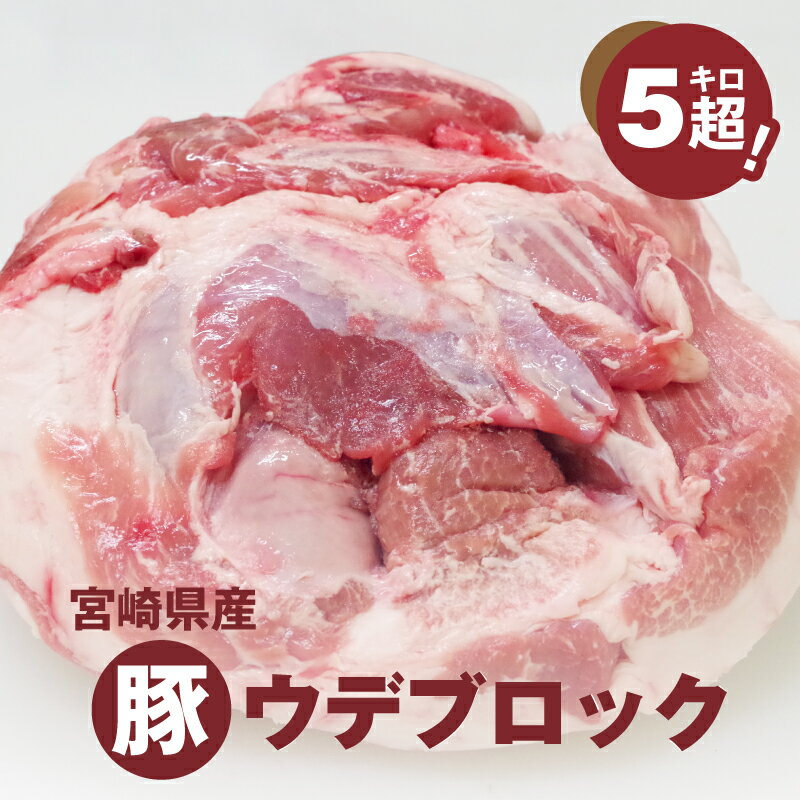 宮崎県産豚ウデブロック5kg超！ - 国産豚肉 ウデ肉 かたまり肉 5キロ 冷凍 大容量 ブロック肉 塊肉 大きい お好みにカットできる 届いたらご自宅でカット 送料無料 【宮崎県木城町】