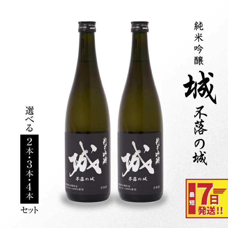 【7日以内に発送！】日本酒 純米吟醸「城 〜不落の城」辛口 - 2本/3本/4本 720ml 冷蔵配送 ご当地日本酒 令和7年産 新しき村友情都市コラボ お酒 アルコール分 15％ 特産品 地酒 スピード配送便 送料無料 【宮崎県木城町】