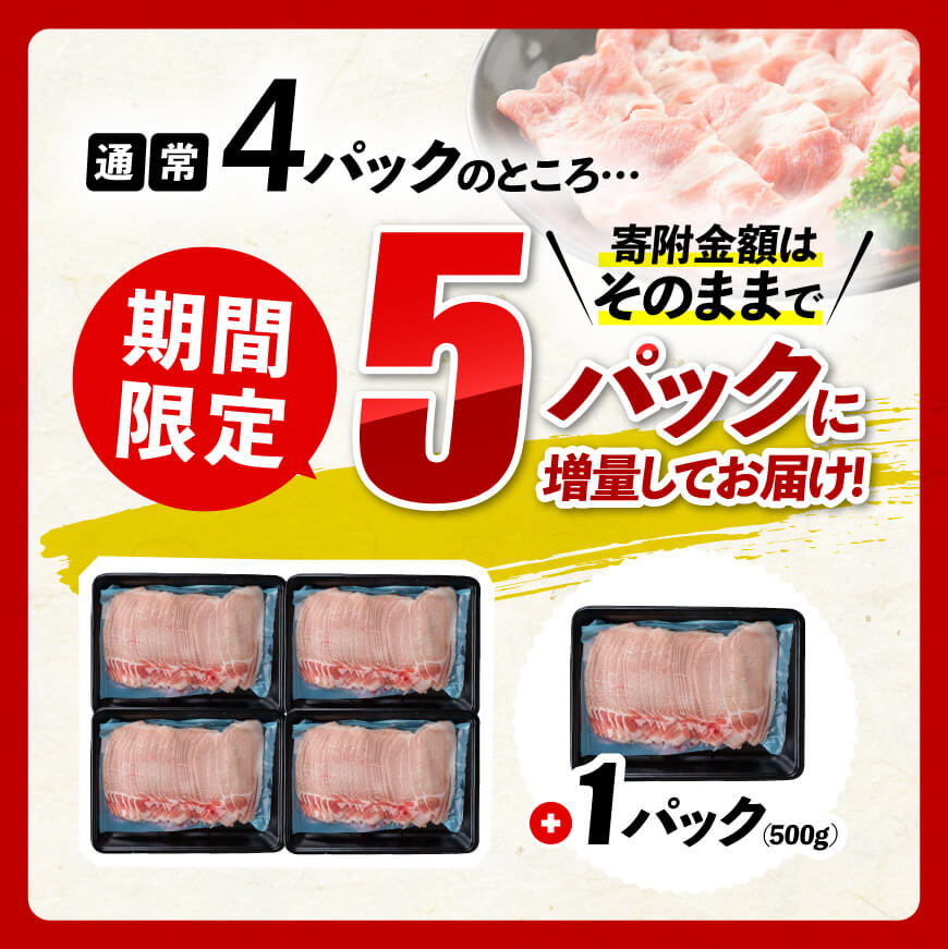 【ふるさと納税】 《 発送時期が選べる 》宮崎県産豚 ロース しゃぶしゃぶ 2.5kg ‐ 国産 九州産 肉 豚肉 ぶた肉 薄切り スライス 冷しゃぶ 期間限定 500g 増量 ミヤチク 送料無料 D00633 サムネイル2