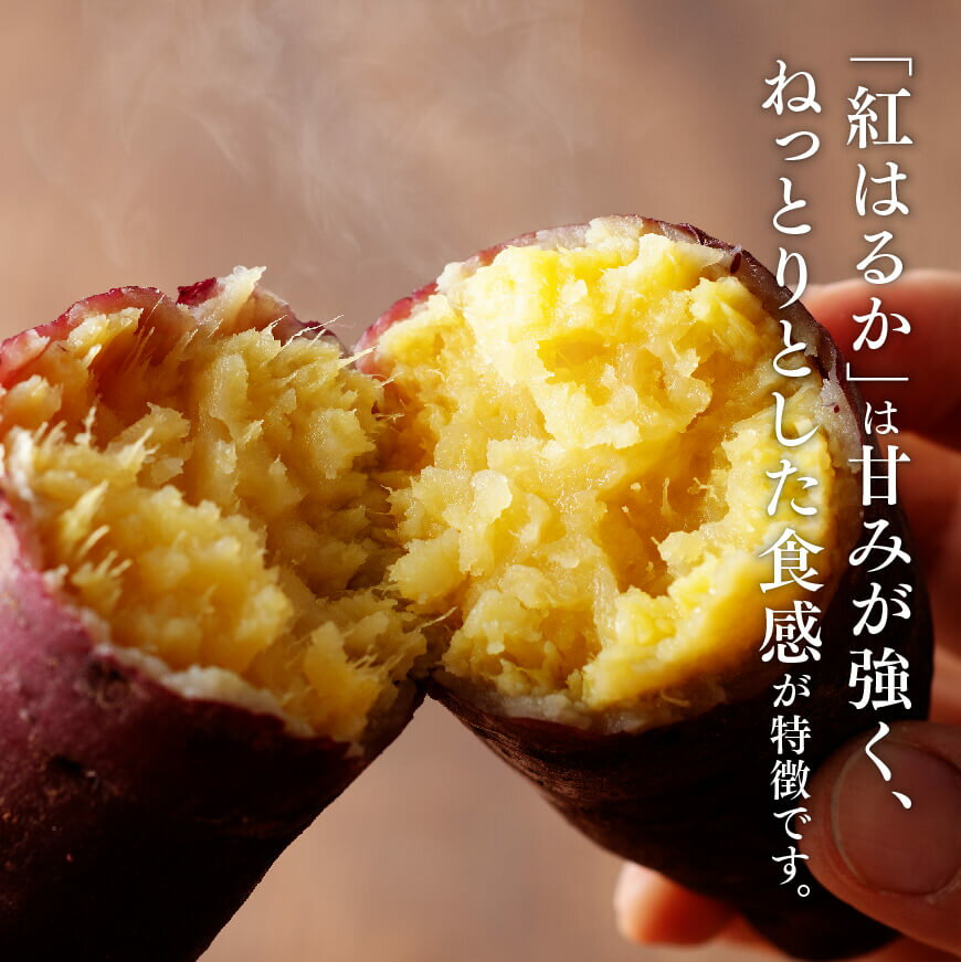 【ふるさと納税】 宮崎県産さつまいも　紅はるか5kg ‐ いも 芋 さつまいも さつま芋 やきいも 焼き芋 スイートポテト きんとん サラダ 手作りケーキ サツマイモ 九州産 宮崎県産 川南町産 送料無料 宮崎 川南 C10005 - 画像2