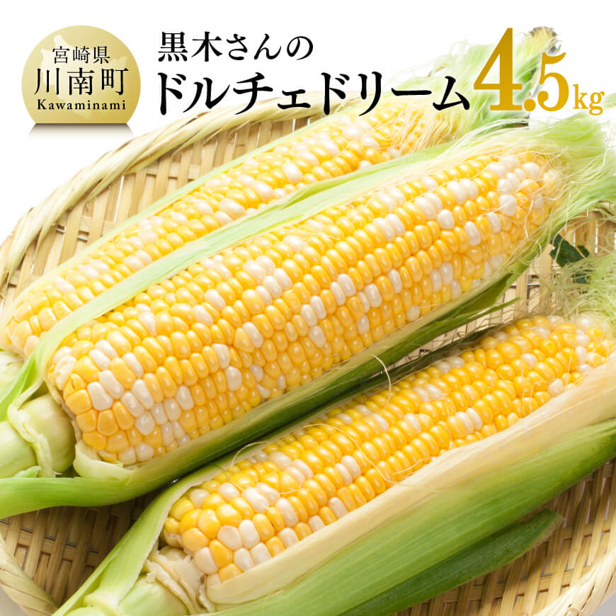 【令和8年発送】 黒木さんのドルチェドリーム4.5kg - 数量限定 季節限定 産地直送 とうもろこし コーン とうきび 野菜 C10901