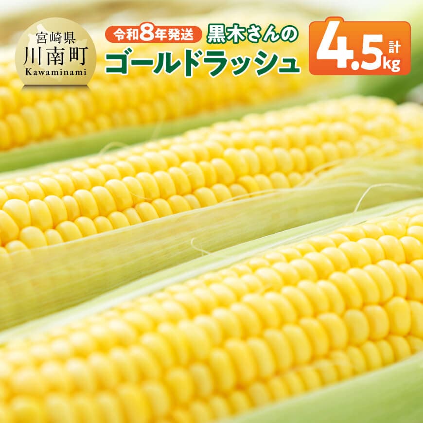 【令和8年発送】 黒木さんのゴールドラッシュ4.5kg - 数量限定 季節限定 産地直送 とうもろこし コーン とうきび 野菜 C10902