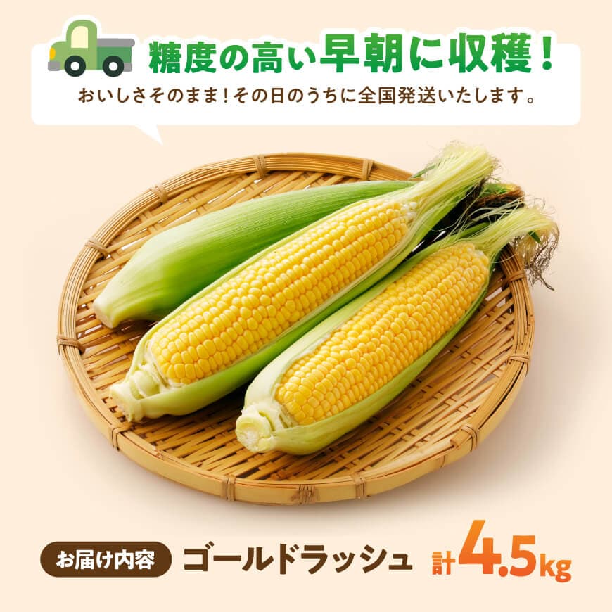 【ふるさと納税】 【令和8年発送】 黒木さんのゴールドラッシュ4.5kg - 数量限定 季節限定 産地直送 とうもろこし コーン とうきび 野菜 C10902 - 画像3