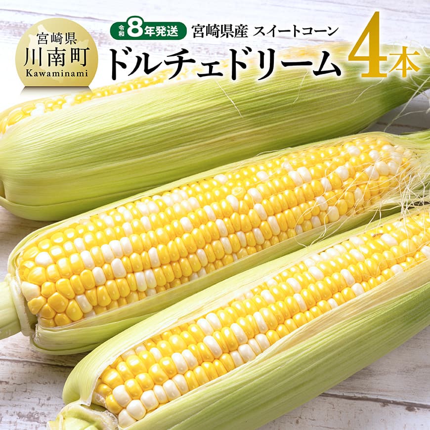 【令和8年発送】宮崎県産とうもろこし　スィートコーン「ドルチェドリーム」4本 - トウモロコシ コーン ドルチェドリーム とうきび 新鮮 野菜 農家直送 期間限定 先行予約 先行受付 九州産 宮崎県産 川南町 送料無料 C10808