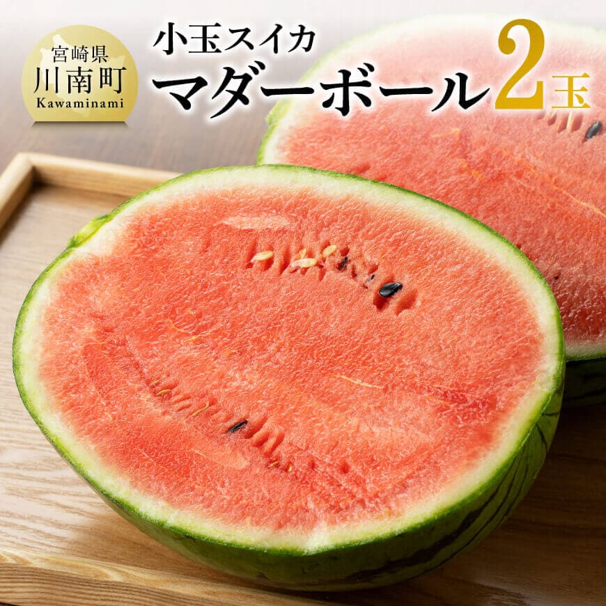 【令和8年産】宮崎県産　小玉スイカ（マダーボール）2玉 ‐ 国産 宮崎県産 西瓜 果物 野菜 デザート スイーツ 送料無料 C10701