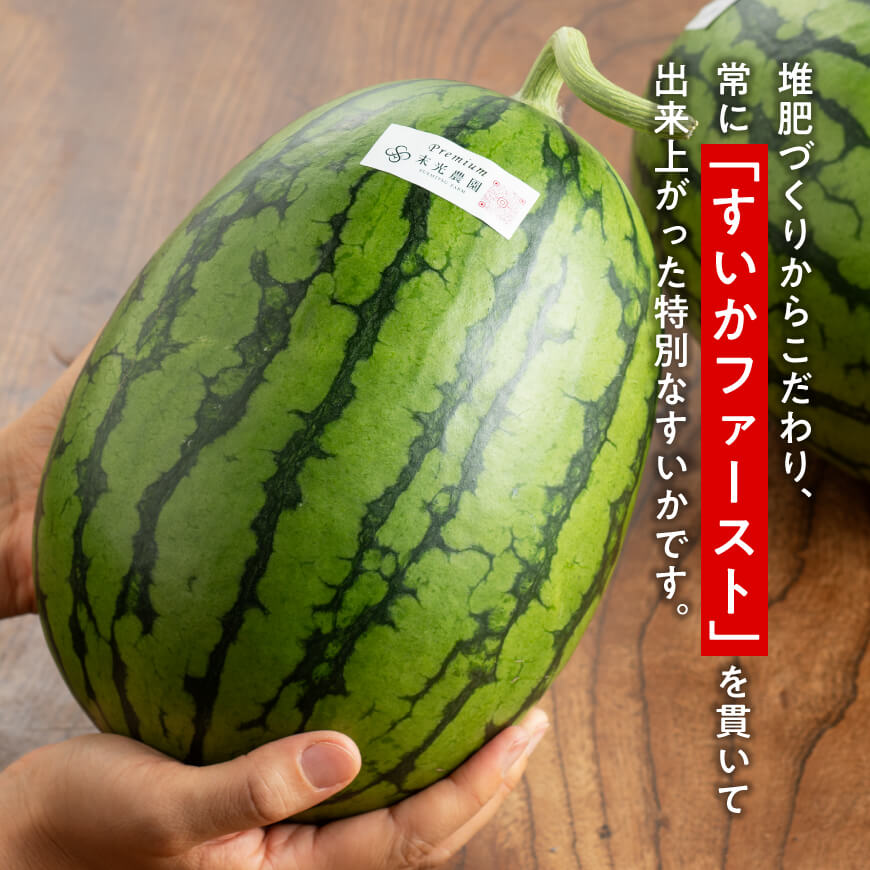 【ふるさと納税】【令和8年産】宮崎県産　小玉スイカ（マダーボール）2玉 ‐ 国産 宮崎県産 西瓜 果物 野菜 デザート スイーツ 送料無料 C10701 サムネイル2