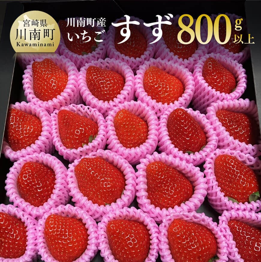 【令和8年発送】宮崎県産いちご（川南町産）　「すず」計800g - 先行予約 期間限定 果物 イチゴ 苺 フルーツ C09802