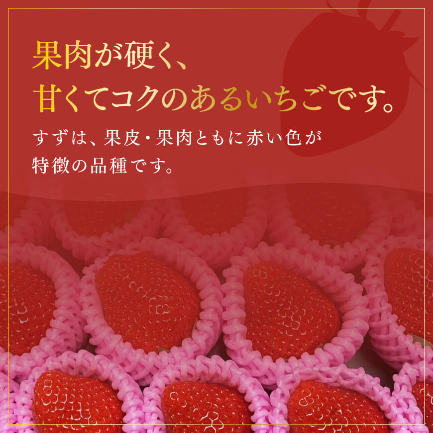 【ふるさと納税】【令和8年発送】宮崎県産いちご（川南町産）　「すず」計800g - 先行予約 期間限定 果物 イチゴ 苺 フルーツ C09802 サムネイル2