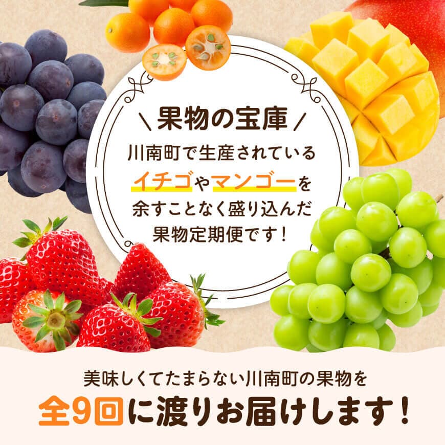 【ふるさと納税】【 全9回定期便 】 フルーツ 満喫 定期便 - 川南町産 くだもの 完熟きんかん たまたま いちご 完熟 マンゴー ぶどう ピオーネ シャイン マスカット 果物 全9回 旬の果物 お取り寄せ 季節の果物 デザート おやつ 食後 D11701t9 サムネイル2