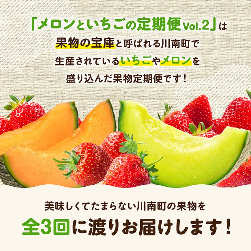 【ふるさと納税】 ※期間限定※【3ヶ月定期便】メロンといちごの定期便Vol.2 - 川南町産 くだもの メロン いちご イチゴ C11716t3 サムネイル2