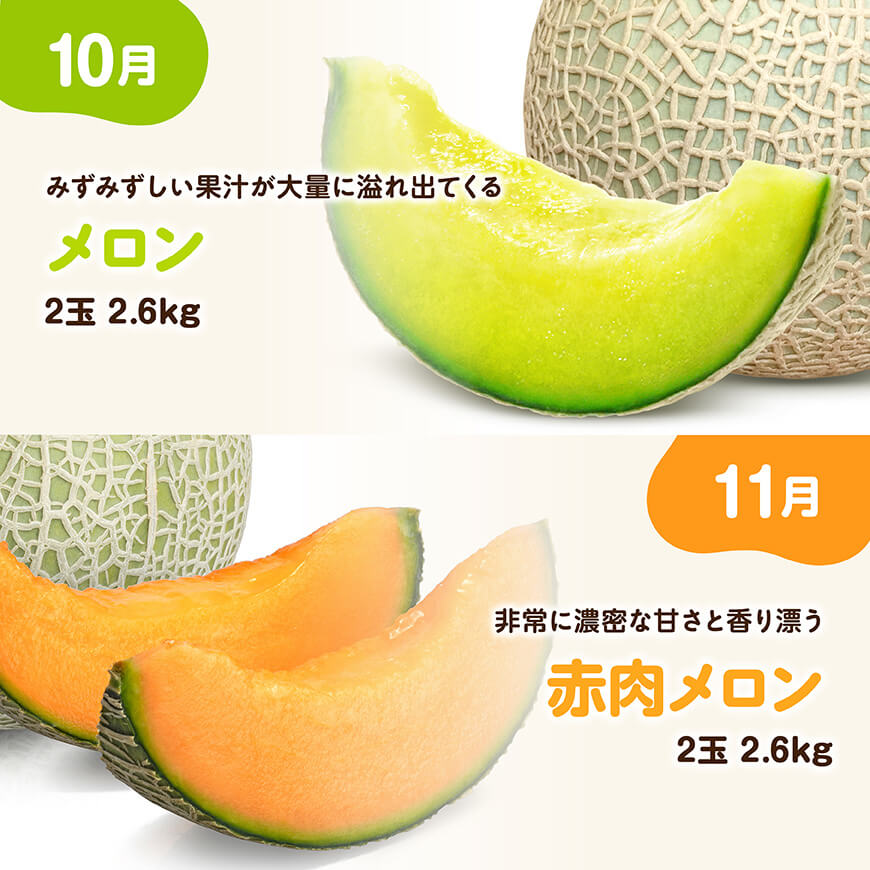 【ふるさと納税】 ※期間限定※【3ヶ月定期便】メロンといちごの定期便Vol.2 - 川南町産 くだもの メロン いちご イチゴ C11716t3 サムネイル3