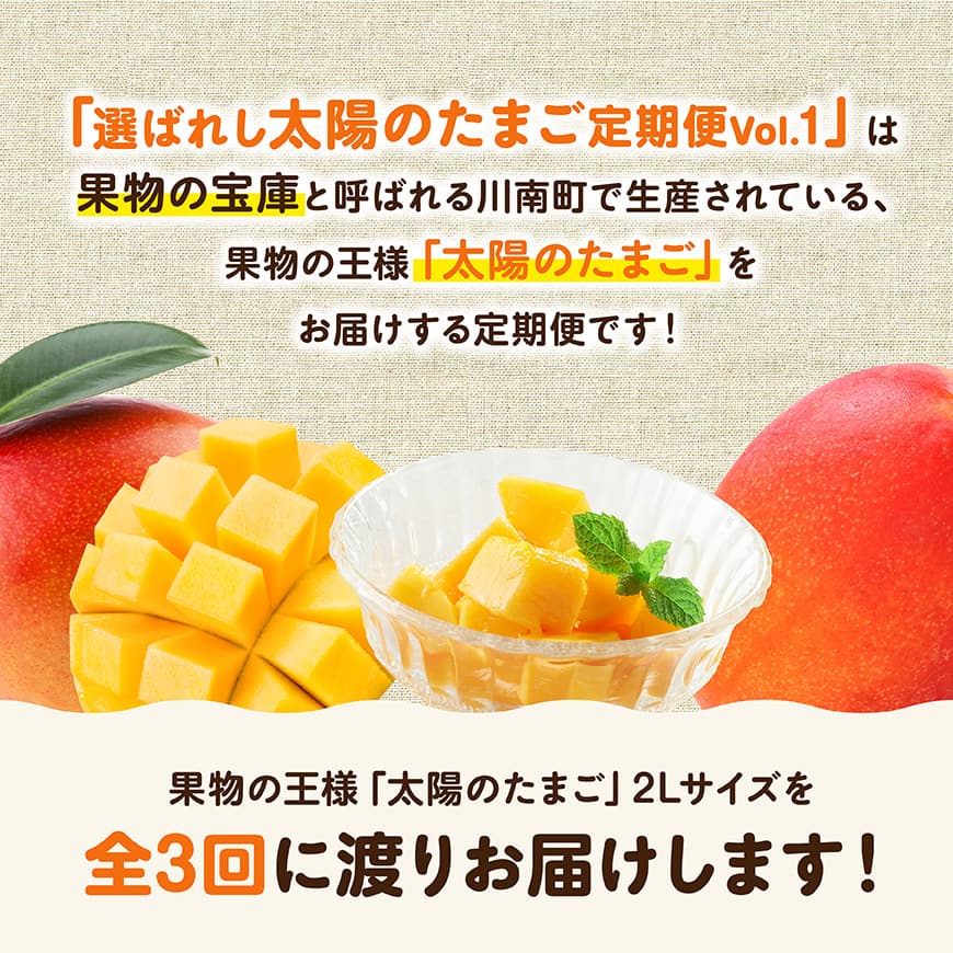 【ふるさと納税】【3ヶ月定期便】選ばれし太陽のたまご定期便Vol.1 - 川南町産 くだもの マンゴー C11708t3 サムネイル2