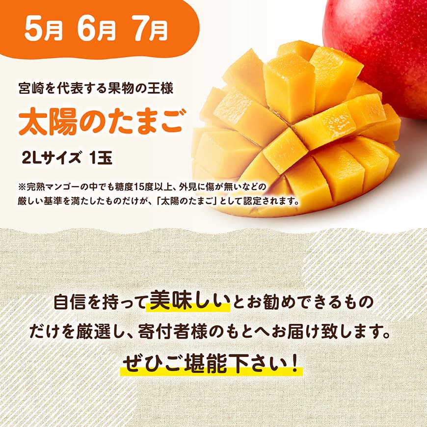 【ふるさと納税】【3ヶ月定期便】選ばれし太陽のたまご定期便Vol.1 - 川南町産 くだもの マンゴー C11708t3 サムネイル3