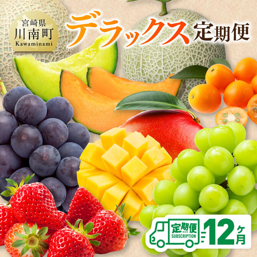 【 12ヶ月定期便 】 デラックス 定期便 - 川南町産 くだもの きんかん いちご 完熟 マンゴー ぶどう ピオーネ シャイン マスカット 大玉 メロン D11717t12