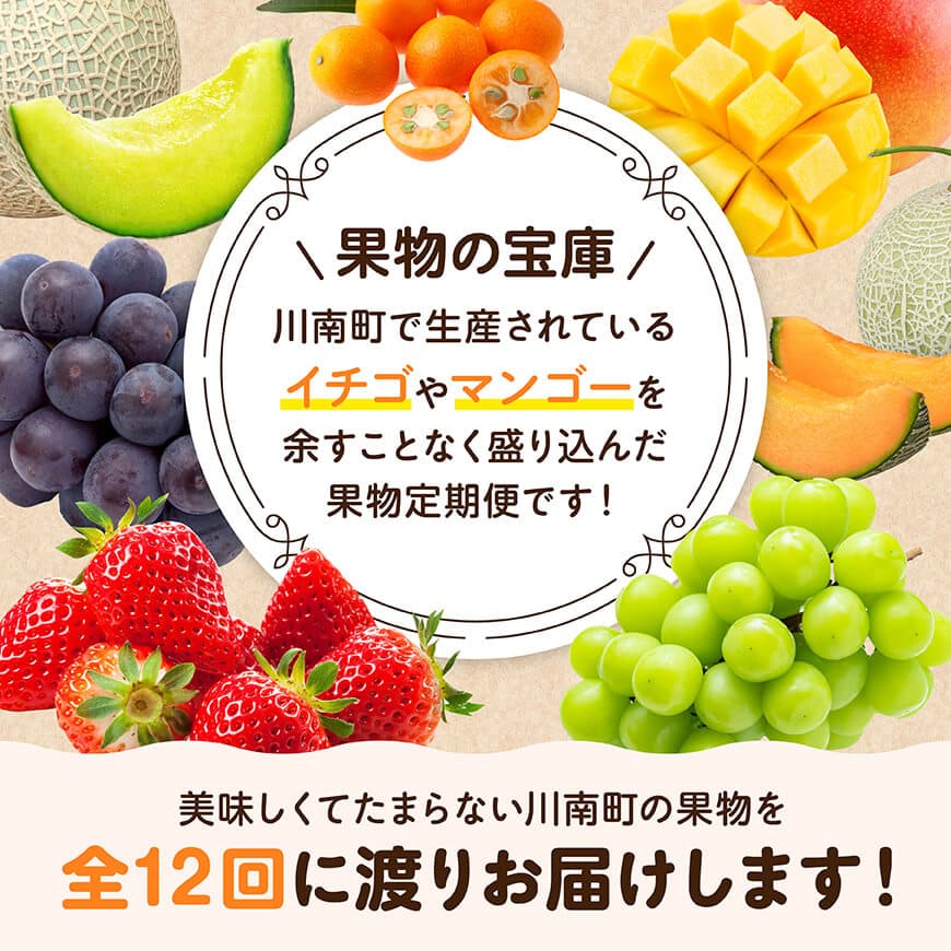 【ふるさと納税】【 12ヶ月定期便 】 超 プレミアム デラックス 定期便 - 川南町産 くだもの きんかん いちご 完熟 マンゴー ぶどう ピオーネ シャイン マスカット 大玉 メロン D11718t12 サムネイル2