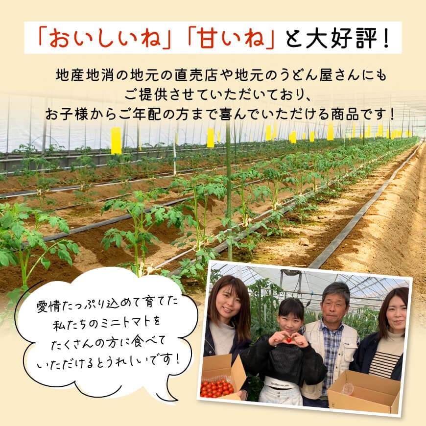 【ふるさと納税】宮崎県産 完熟ミニトマト 「アルル」1kg - 新鮮 アルル ミニトマト とまと 野菜 産地直送 宮崎県産川南町産 送料無料 C11801 - 画像3