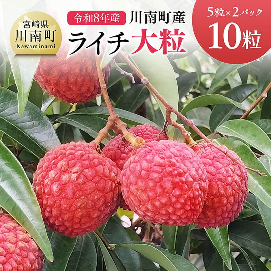 【令和8年産】川南町産ライチ（大粒）10粒(5粒×2パック) - 国産 宮崎県 川南町 ライチ 希少 フルーツ デザート 果物 くだもの 国産ライチ 送料無料 C03203
