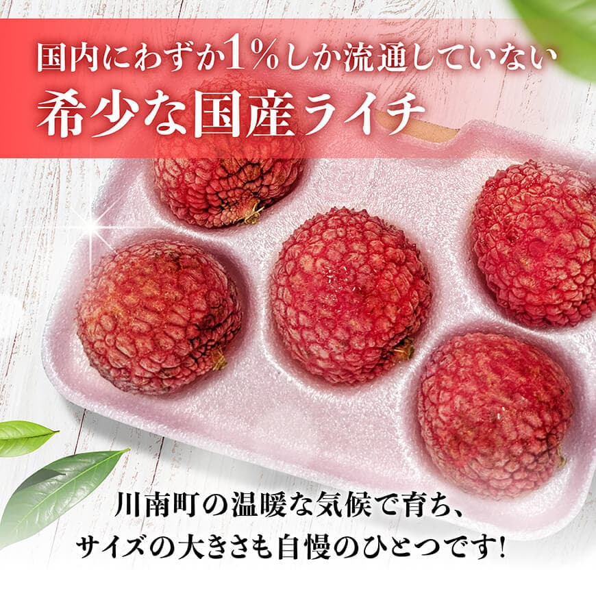 【ふるさと納税】【令和8年産】川南町産ライチ（大粒）10粒(5粒×2パック) - 国産 宮崎県 川南町 ライチ 希少 フルーツ デザート 果物 くだもの 国産ライチ 送料無料 C03203 サムネイル2