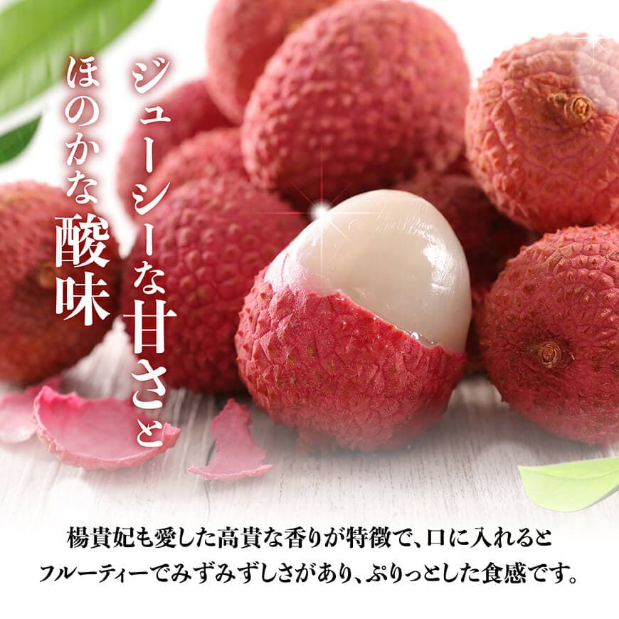 【ふるさと納税】【令和8年産】川南町産ライチ（大粒）10粒(5粒×2パック) - 国産 宮崎県 川南町 ライチ 希少 フルーツ デザート 果物 くだもの 国産ライチ 送料無料 C03203 サムネイル3