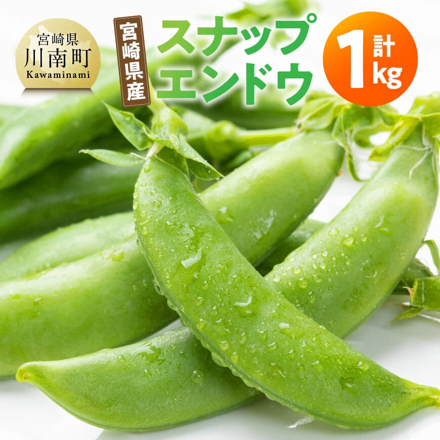 宮崎県産　スナップエンドウ1kg - 宮崎県産 川南町産 国産 エンドウ えんどう エンドウ豆 えんどう豆 送料無料 C12701