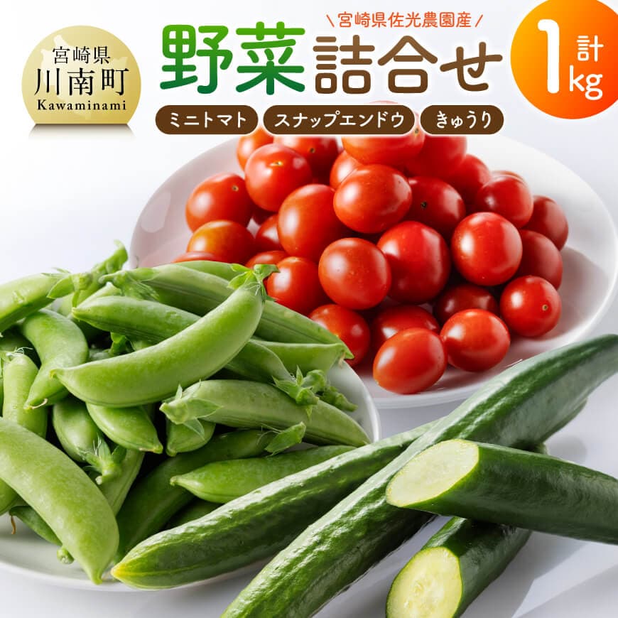 宮崎県佐光農園産　野菜詰め合わせ（ミニトマト・スナップエンドウ・きゅうり）計1kg - 宮崎県 川南町 宮崎県川南町 野菜 詰め合わせ ミニトマト スナップエンドウ きゅうり 送料無料 C13001