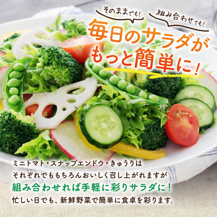 【ふるさと納税】宮崎県佐光農園産　野菜詰め合わせ（ミニトマト・スナップエンドウ・きゅうり）計1kg - 宮崎県 川南町 宮崎県川南町 野菜 詰め合わせ ミニトマト スナップエンドウ きゅうり 送料無料 C13001 - 画像3