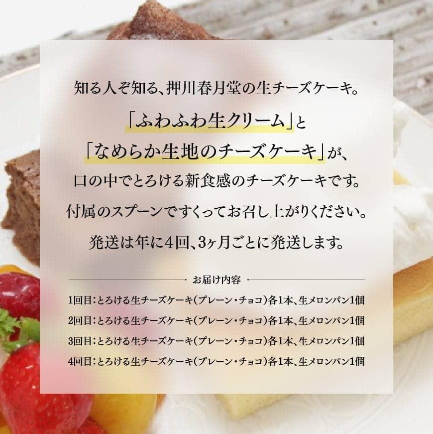 【ふるさと納税】 定期便 チーズ ケーキ 生クリーム メロンパン 送料無料 チーズケーキ セット 人気の新食感とろける生チーズケーキ（プレーン・チョコ）+メロンパン定期便4回コース G2702 - 画像2