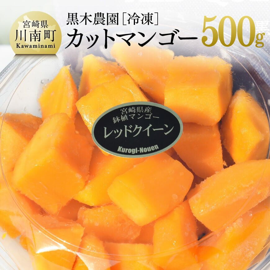 宮崎県産マンゴー　黒木農園の冷凍カットマンゴー（種なし）500g - レッドクイーン 国産 九州産 宮崎県産 マンゴー 期間限定 季節限定 数量限定 先行受付 先行予約 果物 おやつ 差し入れ デザート 送料無料 宮崎県川南町 C03202