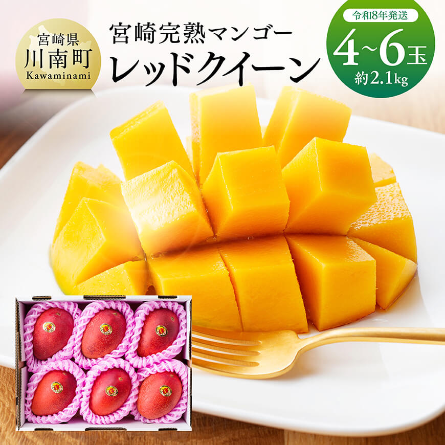 【令和8年発送】宮崎県産完熟マンゴー　「レッドクイーン」4〜6玉 - 果物 フルーツ マンゴー 宮崎県産 完熟マンゴー みやざきマンゴー 先行予約 C03214