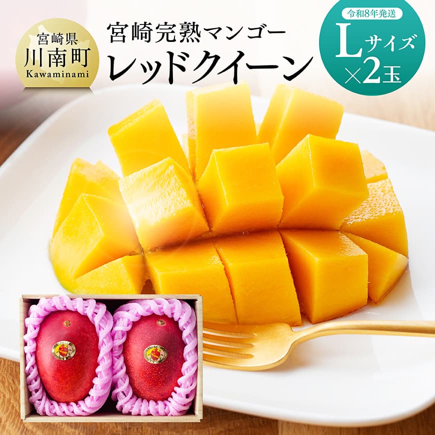 【令和8年発送】宮崎県産完熟マンゴー　「レッドクイーン」L×2玉 - 果物 フルーツ マンゴー 宮崎県産 完熟マンゴー みやざきマンゴー デザート スイーツ 先行予約 季節限定 数量限定 期間限定 国産 九州産 おやつ 食後 贅沢 C03218