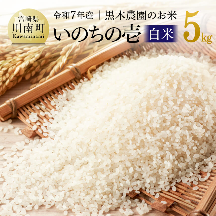 【令和7年産】黒木農園のお米「いのちの壱(白米)」5kg- 米 お米 白米 国産 九州産 宮崎県産 新米 いのちのいち ご飯 ごはん お弁当 おにぎり おむすび ふっくら 艶々 晩ごはん お取り寄せ お届け 農家直送 産地直送 精米 送料無料 宮崎県川南町 C03227
