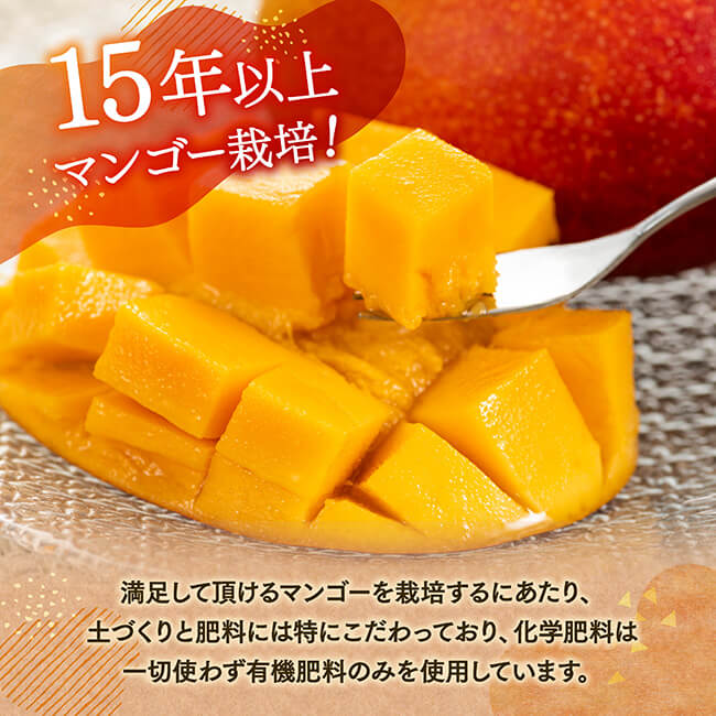 【ふるさと納税】※内容量が選べる※ 宮崎県産完熟マンゴー（果実の宝石）　ドライマンゴー - 宮崎県産 川南町 マンゴー ドライマンゴー 数量限定 果物 フルーツ C03710 C03711 C03712 サムネイル3