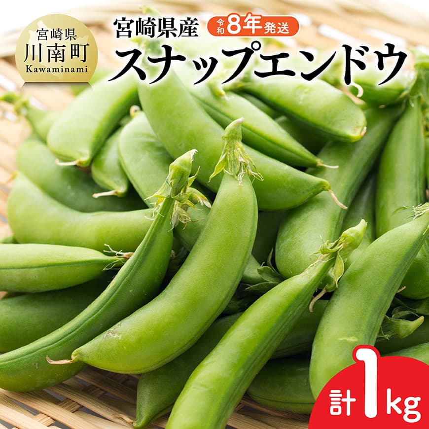 【令和8年発送】宮崎県産　スナップエンドウ1.0kg - 野菜 産地直送 宮崎県産川南町産 送料無料 C03904