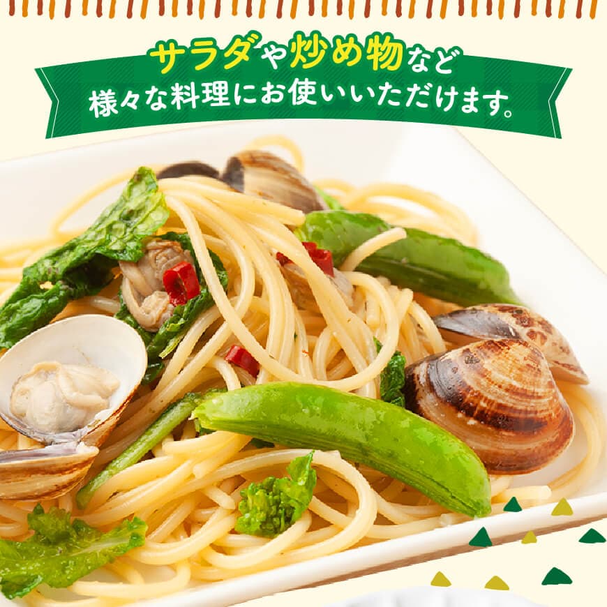 【ふるさと納税】 【令和8年発送】宮崎県産　スナップエンドウ1.0kg - 野菜 産地直送 宮崎県産川南町産 送料無料 C03904 - 画像2