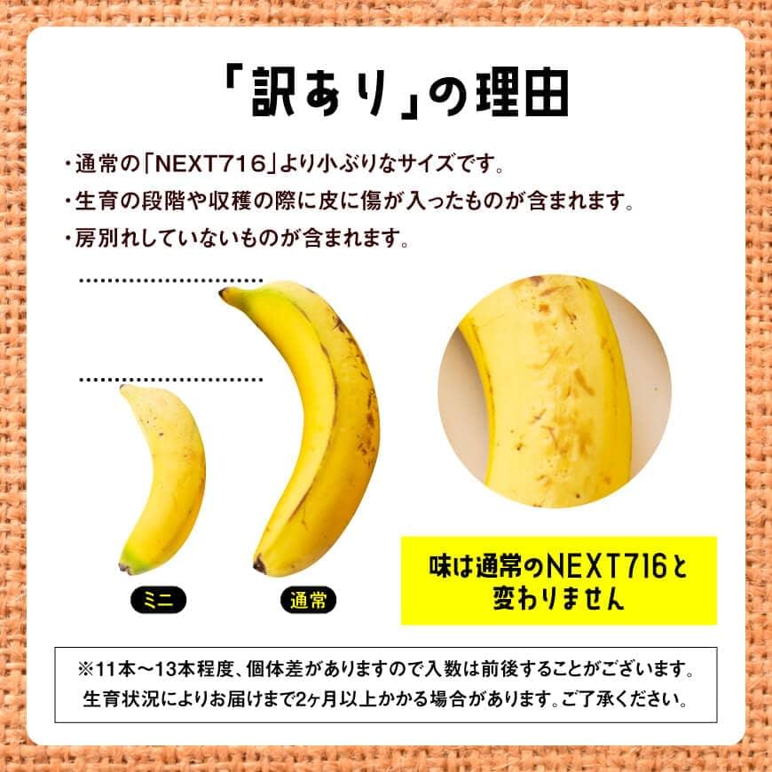 【ふるさと納税】【訳あり】 国産 ミニバナナ 1kg ご自宅用や皮ごとスムージーにもオススメ！【国産 バナナ 無農薬 フルーツ 果物 デザート 朝食 スムージー 訳ありバナナ F5801】 サムネイル3