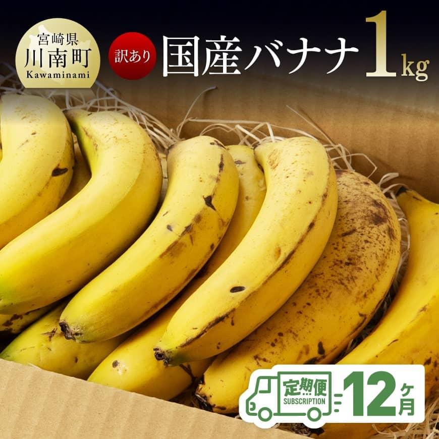 【訳あり】国産バナナ1kg 【12ヶ月定期便】 【 国産 バナナ 無農薬 フルーツ 果物 デザート 朝食 スムージー 川南町 全12回】ご自宅用や皮ごとスムージーにもオススメ！ F5805 送料無料